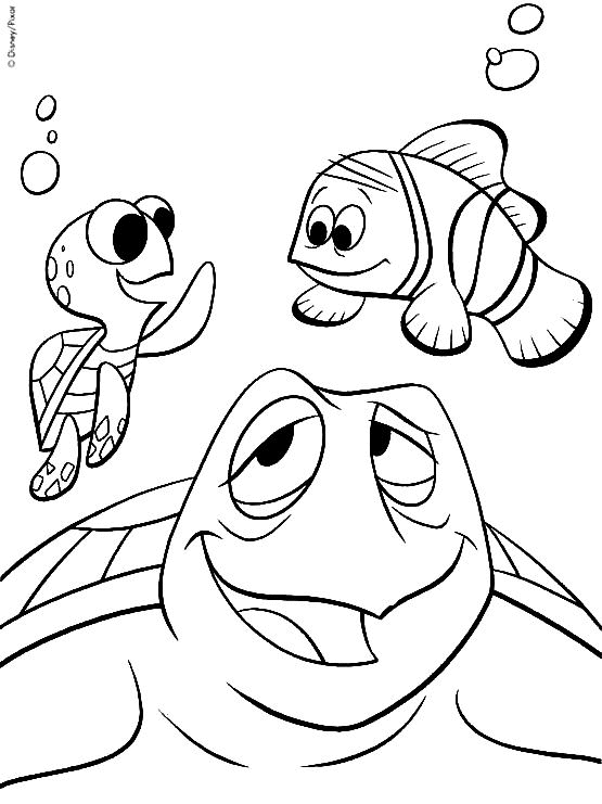 coloriage nemo et les tortues